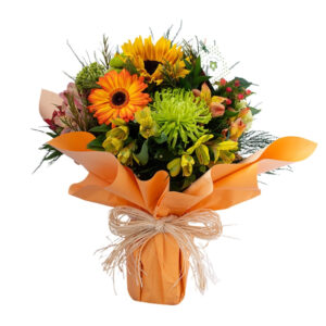 Sol de Alegria - BV011