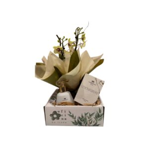 KIT - CELEBRAZIONI & ORQUIDEA  - KIT011