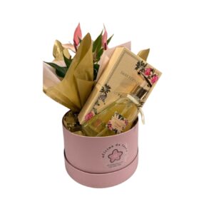 KIT - TERNURA ROSA - KIT012