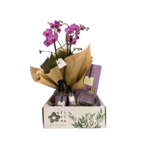 KIT ORQUIDEA AROMAS LAVANDA - KIT010