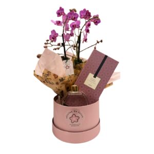 KIT ORQUÍDEA PINK & PRESENTE PEÔNIA GARDEN - KIT014